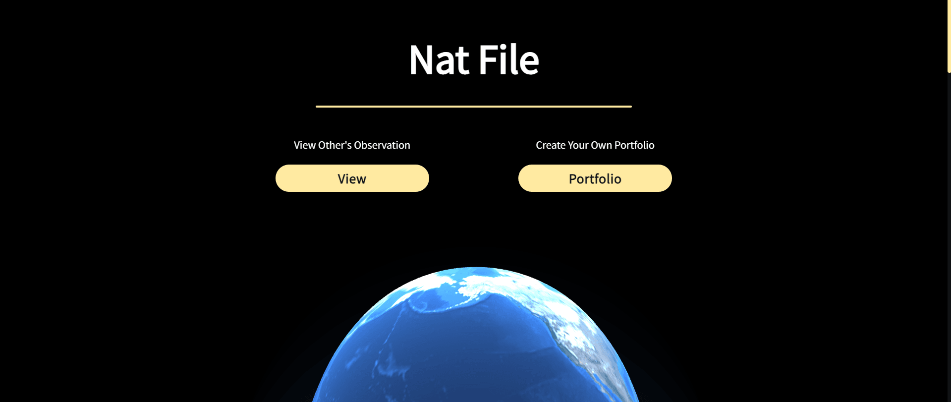 Nat File